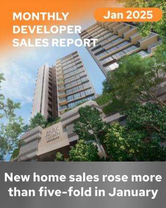 Monthly Developers Sales Jan 2025